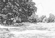 Hati Yang Sedang Terkoyak-Sastra