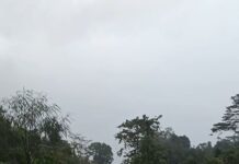 Terlambat Untuk Menghentikan, Mari Mencegah Agar Tidak Lebih Parah