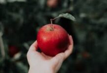 Ketika aku mendengar, bahwa Engkau ada dalam taman ini, aku menjadi takut, karena aku telanjang