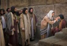 Sudahkah kaulihat sesuatu?