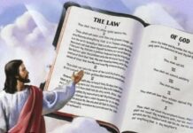 Renungan Harian: Aku datang bukan untuk meniadakan HukumTaurat, melainkan untuk menggenapinya.