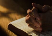 Renungan Harian: Apabila kamu telah meninggikan Anak Manusia, barulah kamu tahu, bahwa Akulah Dia..!