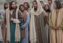 Renungan Harian: Kebenaran yang Memerdekakan