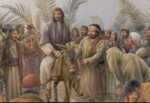 Renungan Harian: Diberkatilah Dia yang datang dalam nama Tuhan