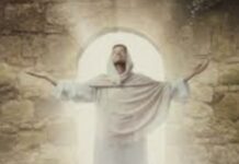 Renungan Harian: Mengalami Hidup Baru Bersama Kristus yang Bangkit