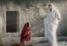 Renungan Harian: Bertekun Dalam Kebangkitan Kristus