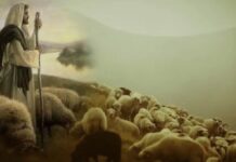 Renungan Harian: Mengenal Suara Sang Gembala