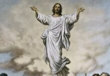 Renungan Harian: Allah telah naik diiringi sorak sorai