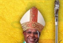 Bofitwos Sosok Rae Ati; Sebuah Upaya Menelusuri Jejak Hidup, Karya dan Pemikiran Dr. Bernardus Bofitwos Baru, OSA