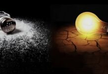 Renungan Harian: Garam dan Terang Dunia