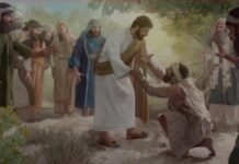 Renungan Harian: Pelayanan Kasih dalam Senyap