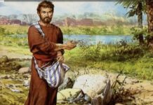 Renungan Harian: Menjadi Tanah yang Subur Bagi Sabda