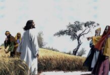 Renungan Harian: Hukum sejati lahir dari kasih Allah