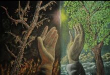 Renungan Harian: Kita Dipanggil Untuk Menghadirkan Wajah Allah Yang Mahabaikk