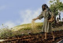 Renungan Harian: Menjadi Tanah Yang Subur Bagi Sabda Tuhan