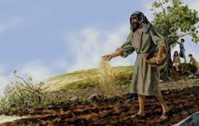 Screenshot_20250920_050030_Google