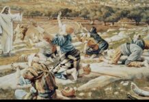 Renungan Harian: “Hati yang Tahu Bersyukur”