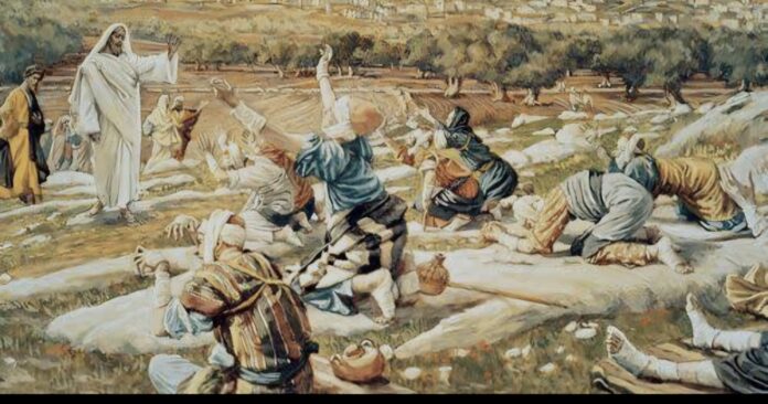 Screenshot_20251012_053636_Google