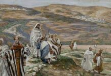 Renungan Harian: “Diutus Seperti Domba di Tengah Serigala”