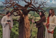 Renungan Harian: “Hidup dalam Roh, Bukan dalam Daging”