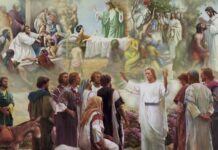 Renungan Harian: “Berakar dalam Iman Para Rasul”