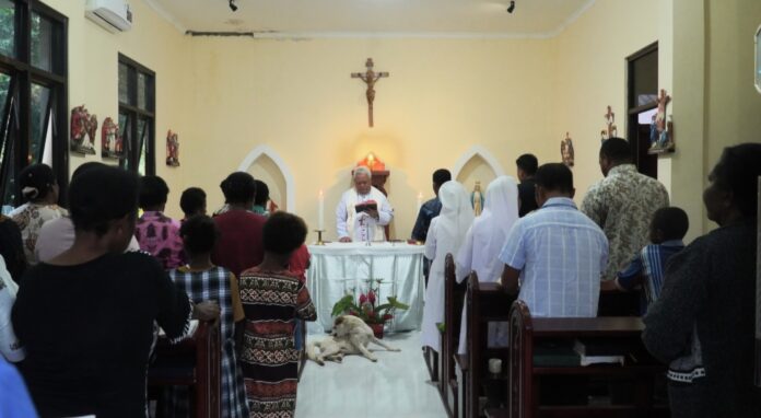 Screenshot_20251104_113643_Gallery