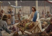 Renungan Harian: “Kita Adalah Bait Allah yang Hidup”