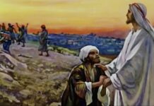 Renungan Harian: “Syukur: Tanda Iman yang Hidup”