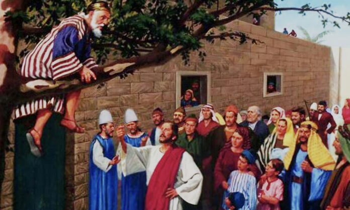 Screenshot_20251117_210621_Google