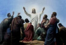 Renungan Harian: Ketekunan dan pengorbanannya membuahkan hasil yang melimpah