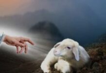 Renungan Harian: “Kembalilah kepada-Ku.”