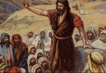 Renungan Harian: “Dipanggil untuk Tidak Terjebak pada Duniawi”