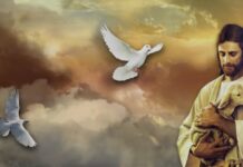 Renungan Harian: Rendah Hati Dalam Peran dan Setia Dalam Panggilan