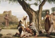 Renungan Harian: Setia Dalam Perutusan, Tidak Menyerah oleh Kesulitan, Tidak Berdiam Diri Karena Takut