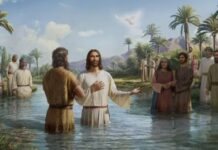 Renungan Harian: Kerendahan Hati