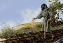 Renungan Harian: Menjadi Tanah yang Subur, Tempat Sabda Allah Bertumbuh dan Menghasilkan Buah