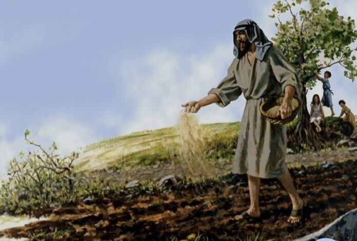 Screenshot_20260127_235351_Google