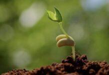 Renungan Harian: Tidak Berkecil Hati atas Keterbatasan Diri