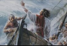 Renungan Harian: “Tetap Setia di Tengah Badai Hidup”