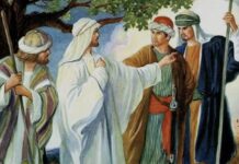 Renungan Harian: Menjalankan Tugas Perutusan Dengan Penuh Tanggung Jawab dan Penyerahan Diri