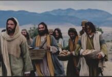 Renungan Harian: Yesus menghendaki agar kita memiliki hati seperti hati-Nya