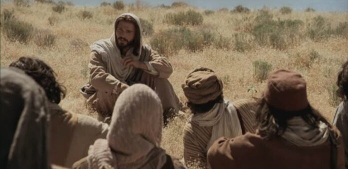 Screenshot_20260224_000542_Google