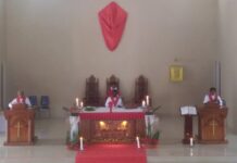 Semarak Minggu Palma di Paroki Santo Yoseph Senopi, Umat Bersatu Rayakan Iman dalam Sukacita