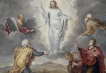 Renungan Harian: Iman Yang Taat, Setia, Dan Berkorban