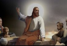 Renungan Harian: Menanam Benih Kasih Setiap Hari