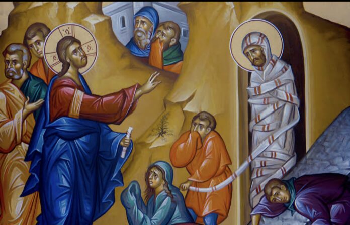 Screenshot_20260322_044758_Google