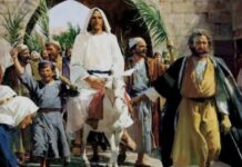 Renungan Harian: Iman Bukan Sekadar Kenyamanan, Tetapi Kesetiaan Dalam Segala Situasi