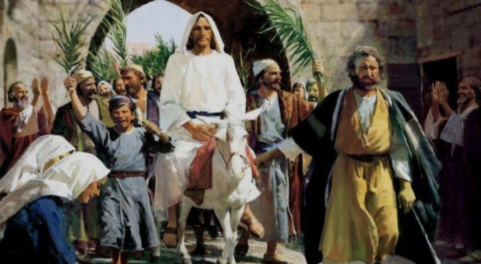 Screenshot_20260329_052954_Google