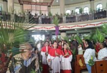 Ribuan Umat Padati Gereja Ko-Katedral Manokwari Rayakan Minggu Palma