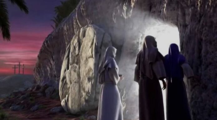 Screenshot_20260405_003651_Google